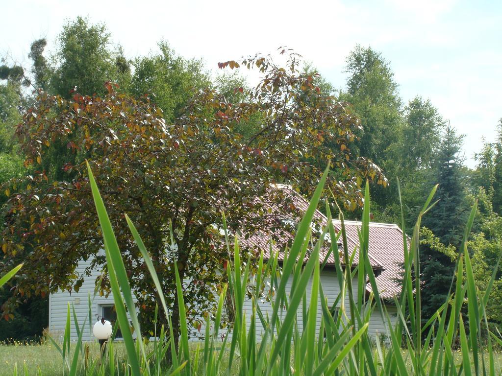 Bed and Breakfast Bobrowa Dolina Ryn  Zimmer foto