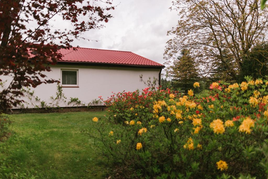 Bed and Breakfast Bobrowa Dolina Ryn  Exterior foto
