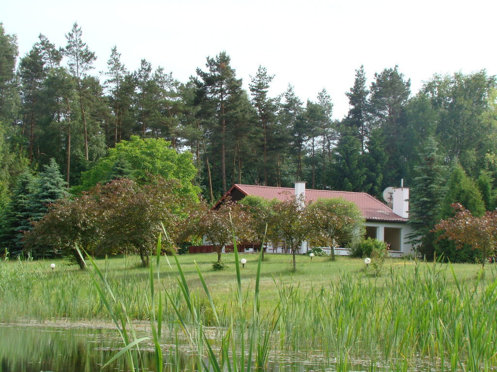 Bed and Breakfast Bobrowa Dolina Ryn  Exterior foto