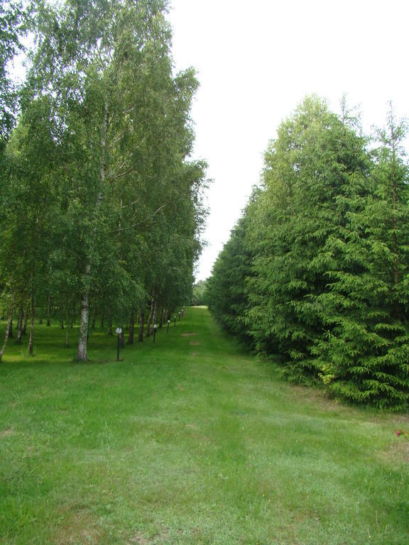 Bed and Breakfast Bobrowa Dolina Ryn  Exterior foto