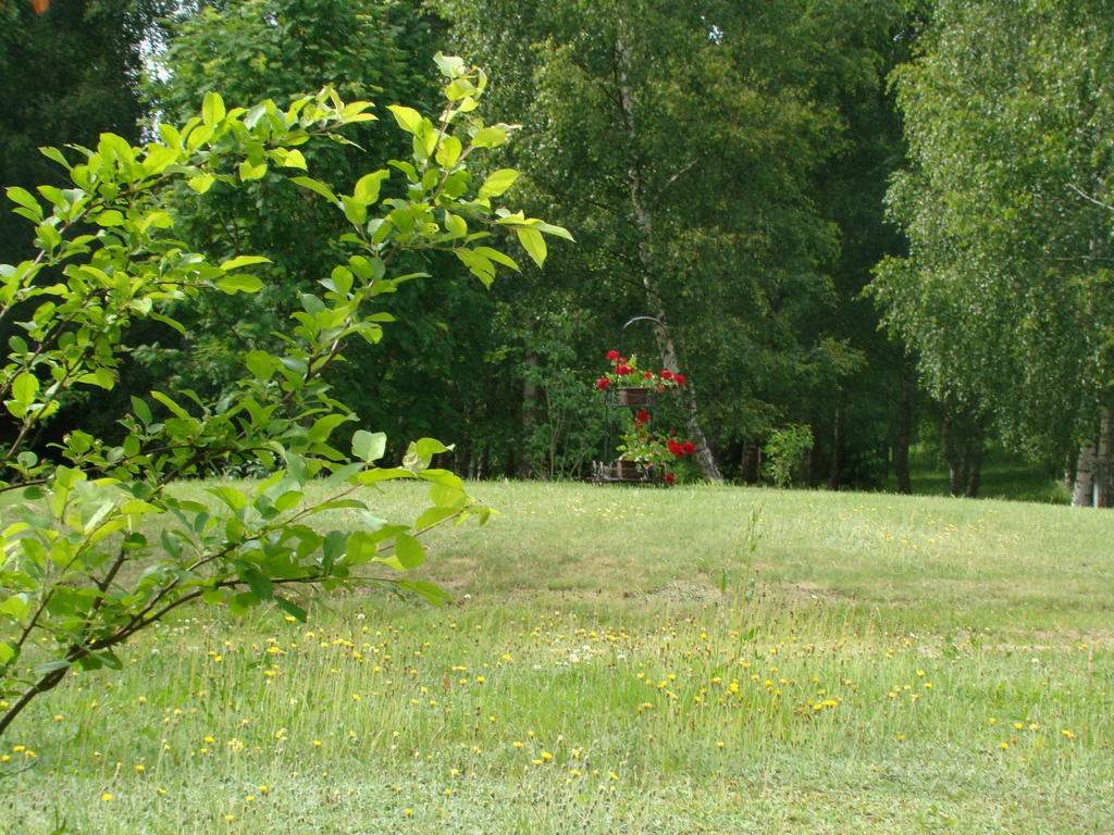 Bed and Breakfast Bobrowa Dolina Ryn  Zimmer foto