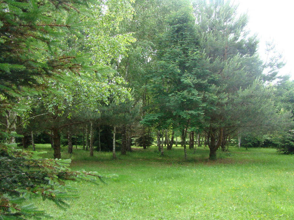 Bed and Breakfast Bobrowa Dolina Ryn  Exterior foto