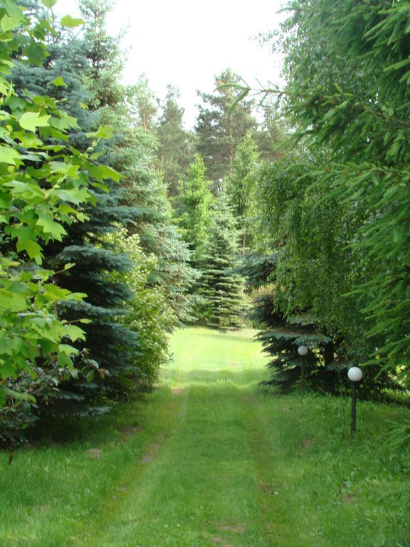 Bed and Breakfast Bobrowa Dolina Ryn  Exterior foto